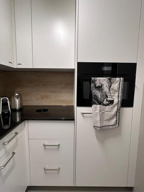 New Renovated Apartment In Center Of 达沃斯 外观 照片