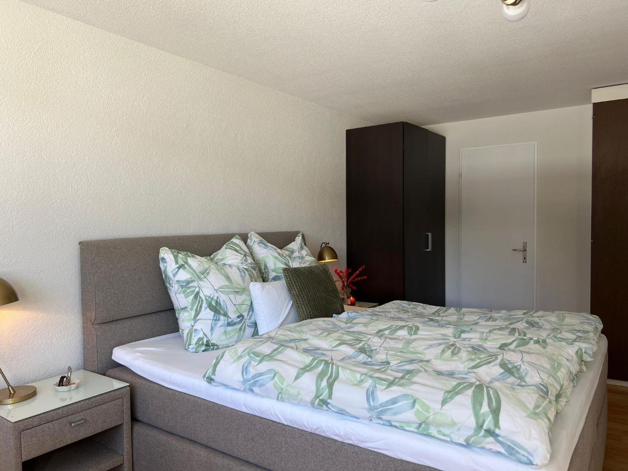 New Renovated Apartment In Center Of 达沃斯 外观 照片